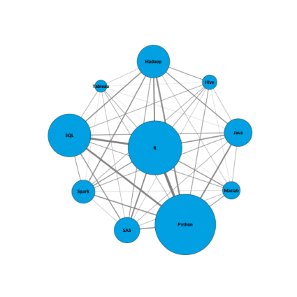 Skills of Data Scientist Personas